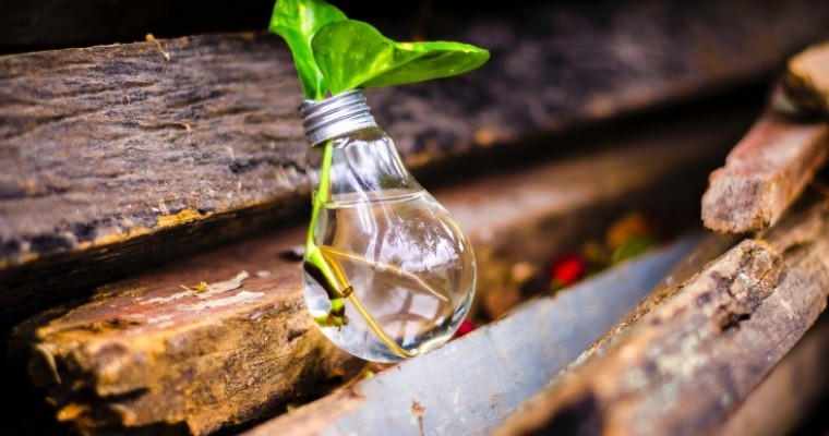Súťaž cez EIT Food Hub: Innovation Prizes 2019