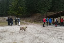 Tradičný nočný pochod na Hnilickú Kýčerku